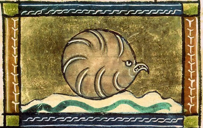 Medieval Oyster
