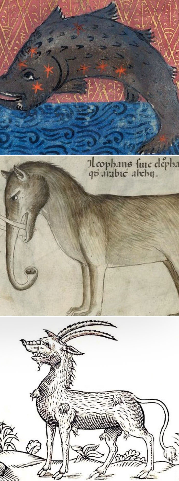 A Medieval Artist's Drawing Of Animals He Had Never Seen. Dolphin, Elephant And Antelope