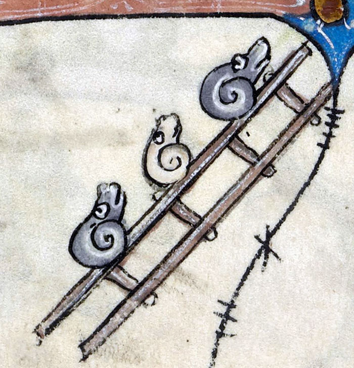 Snails On A Ladder. France, Circa 1320