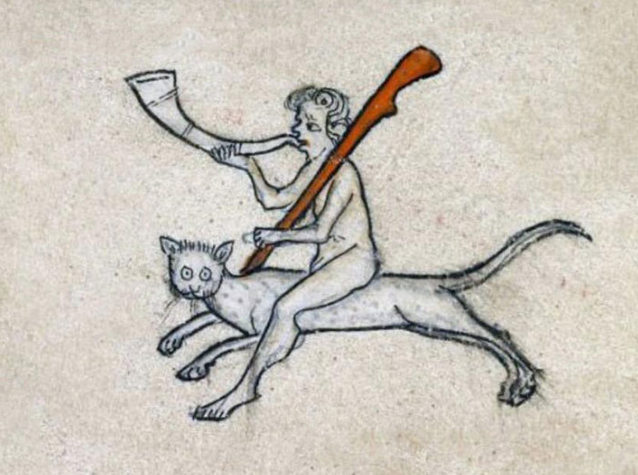 A Big Medieval Cat?