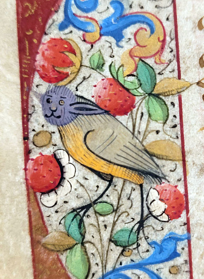 An Illuminated Border From A Manuscript "Book Of Hours" Leaf (15th Century), Containing A Delightful Hybrid Creature That Looks Like A Bird