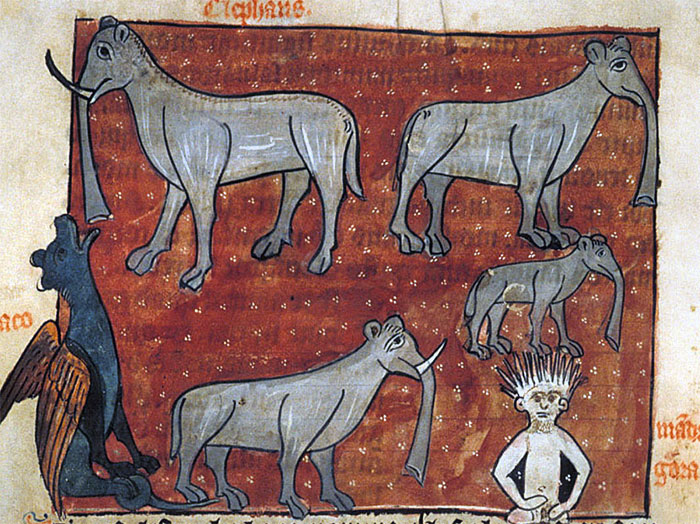 Some Medieval Drawings Of Elephants From A 13th Century French Bestiary
