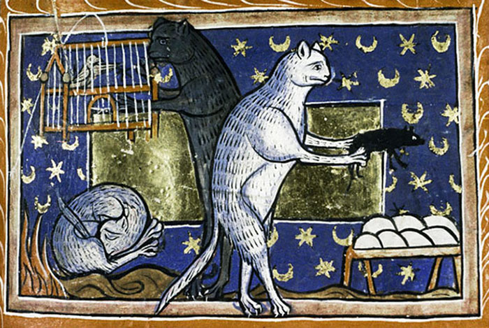 Cats' Life During Medieval Times