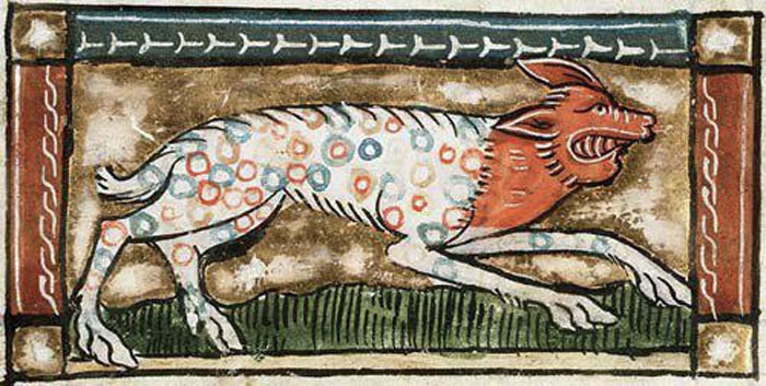 The Manuscript Described This As A Panther