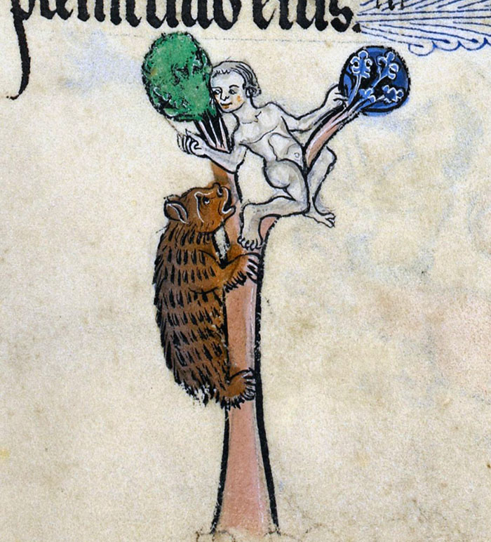 If The Bear Is Brown, Lay Down. If It's Black, Fight Back. If It's White, Goodnight. And If It's Medieval, Climb The Smallest Tree Available, Totally Naked