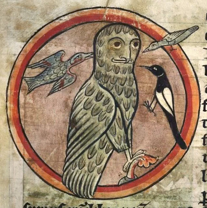 This Owl With A Human Face