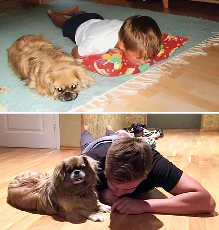Me And My Dog, 2002 And 2016