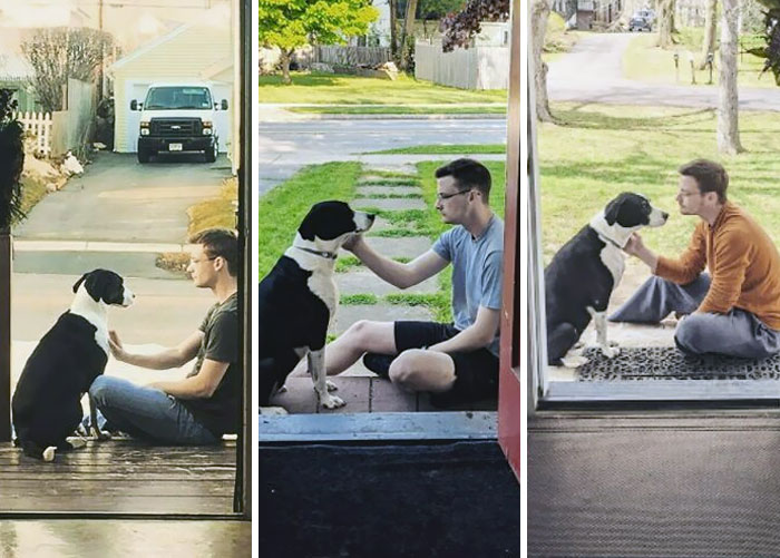 My Dog Lexi Is Turning 10 Soon. Through College, 3 Cities, 2 Apartments, And Our First Real House - Anywhere We Go, We Go Together