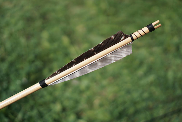 Close-up of a wooden arrow with feather fletching, symbolizing iconic last words shared in history.
