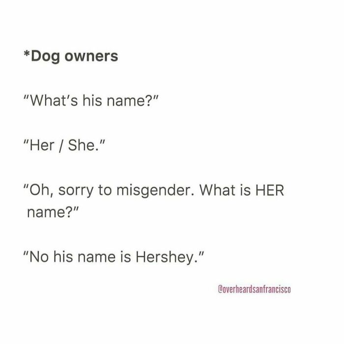 Best-Overheard-Conversations-La-Of-All-Times