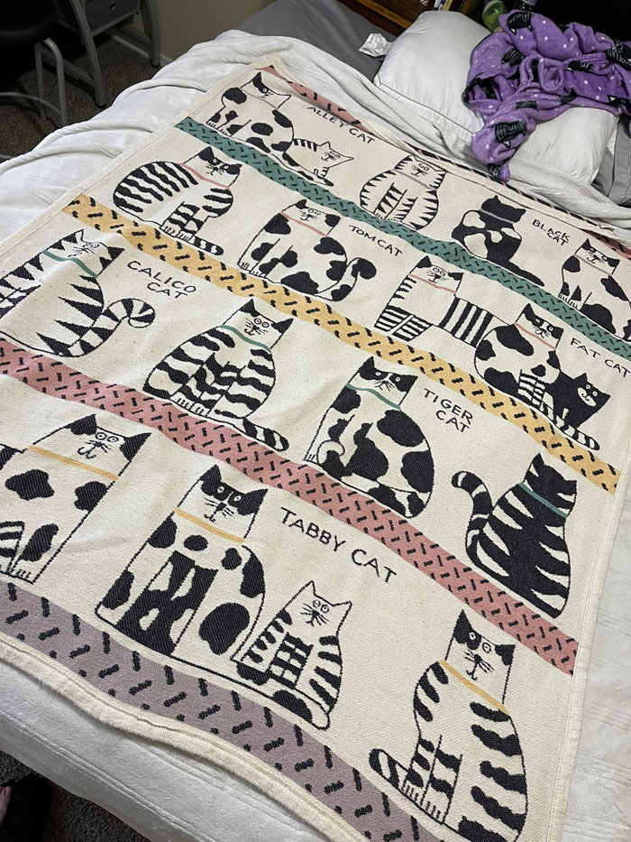 Okay Guys So This Is A Fun One. When I Was A Kid I Had This Exact Cat Blanket And I Haven’t Seen It In Years. I Loved It!