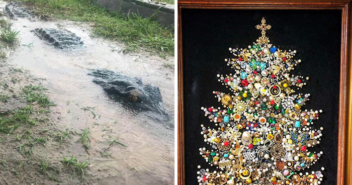 50 Times People Found The Most Amazing Things While Shopping Secondhand