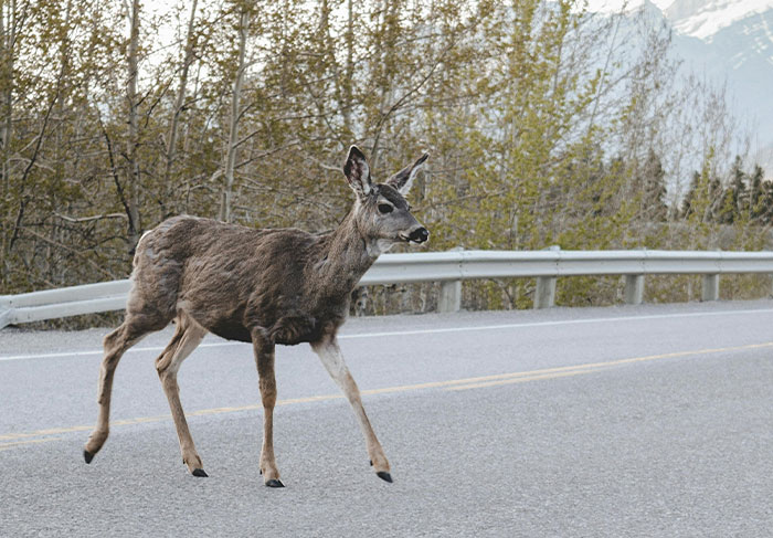 30 Times People Were Left Saying ‘I Know What I Saw’ After Witnessing Things No One Can Explain