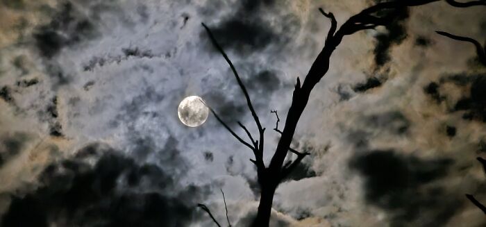 Moon Nestled In Clouds
