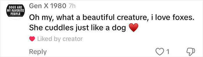 Fox Frequently Sneaks Into Woman’s Home And Sleeps In Her Bed: “It Fills My Heart With Joy” Fox Frequently Sneaks Into Woman’s Home And Sleeps In Her Bed: “It Fills My Heart With Joy”