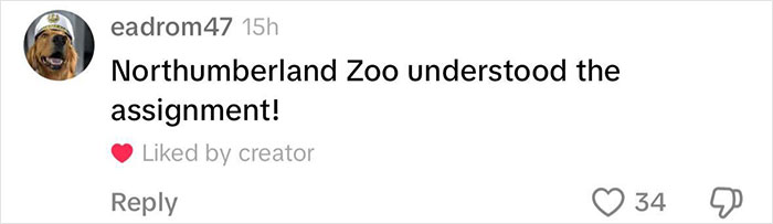 Boomer Couple’s “Gen Z Style” Tour Of Zoo Goes Viral, People Call It “Marketing Genius” Boomer Couple’s “Gen Z Style” Tour Of Zoo Goes Viral, People Call It “Marketing Genius”