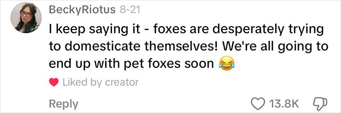 Fox Frequently Sneaks Into Woman’s Home And Sleeps In Her Bed: “It Fills My Heart With Joy” Fox Frequently Sneaks Into Woman’s Home And Sleeps In Her Bed: “It Fills My Heart With Joy”