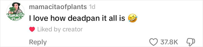 Boomer Couple’s “Gen Z Style” Tour Of Zoo Goes Viral, People Call It “Marketing Genius” Boomer Couple’s “Gen Z Style” Tour Of Zoo Goes Viral, People Call It “Marketing Genius”