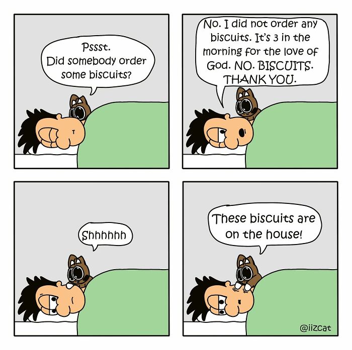 Comic of a cat waking owner at 3 AM, asking about biscuits, illustrating relatable cat moments.