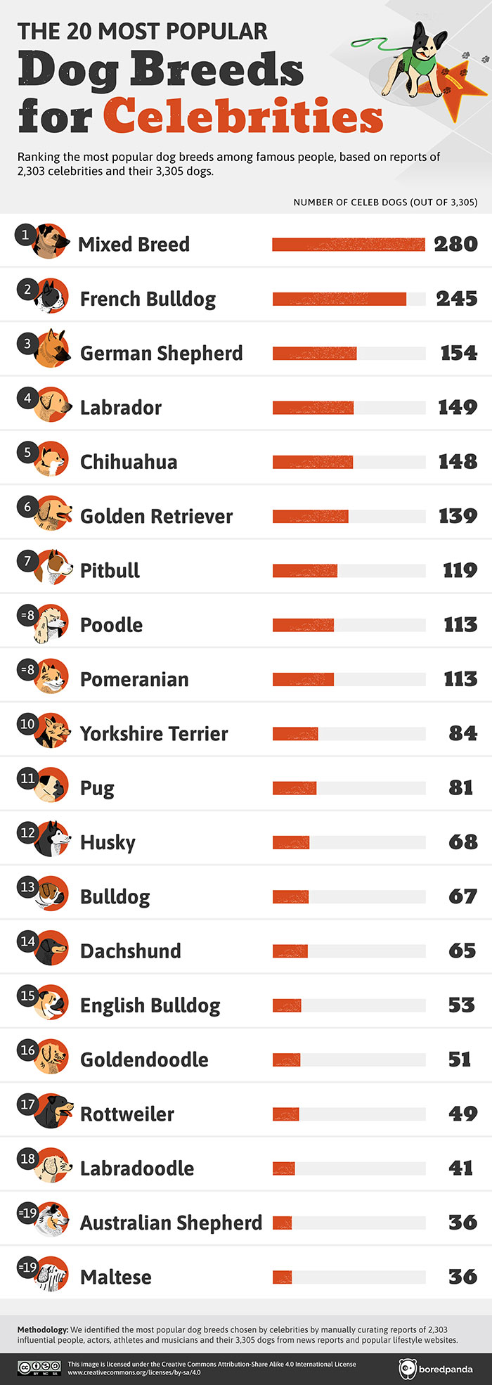 Top Dog Breeds Favored By Celebrities Top Dog Breeds Favored By Celebrities