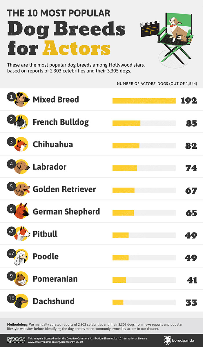 Top Dog Breeds Favored By Celebrities Top Dog Breeds Favored By Celebrities