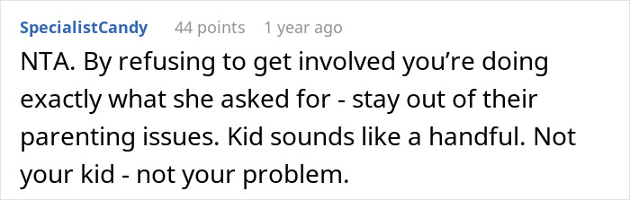 Woman Refuses To Babysit Nephews Until Their Mom Addresses The Serious Problem They Have