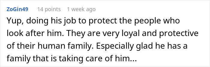 Stray Dog Becomes Employed At A Gas Station After Chasing Off Robbers