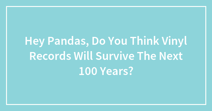 Hey Pandas, Do You Think Vinyl Records Will Survive The Next 100 Years? (Closed)