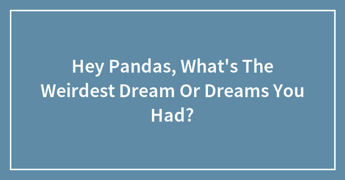Hey Pandas, What’s The Weirdest Dream Or Dreams You Had? (Closed)