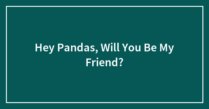 Hey Pandas, Will You Be My Friend?