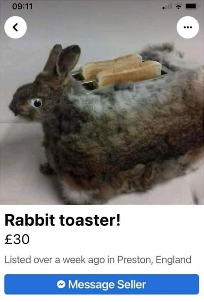 Tostador recubierto de conejo taxidermizado (mal)