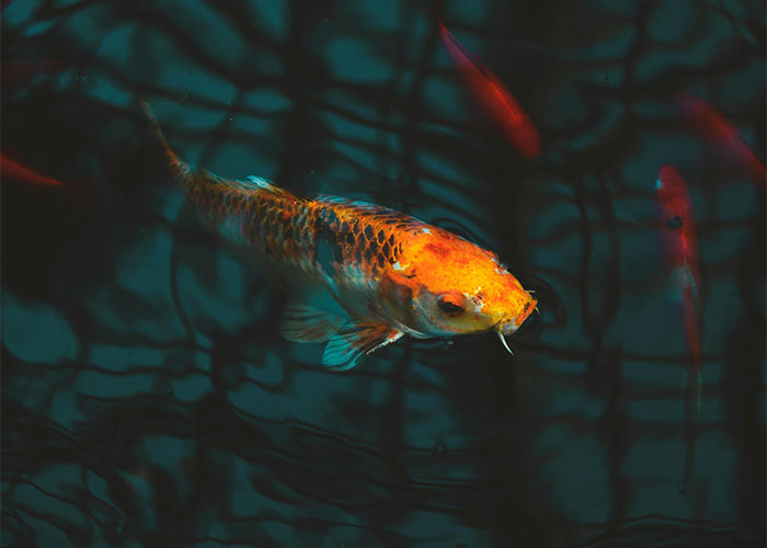 “Keep Sour Candies On Hand”: This Online Thread Shares 30 Cool Hacks For The Human Body