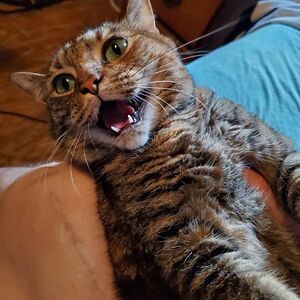 richardsmith_9 avatar