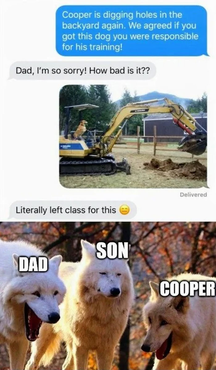 Dad meme with Cooper the dog humorously using an excavator and labeled wolves, depicting a funny family dynamic.