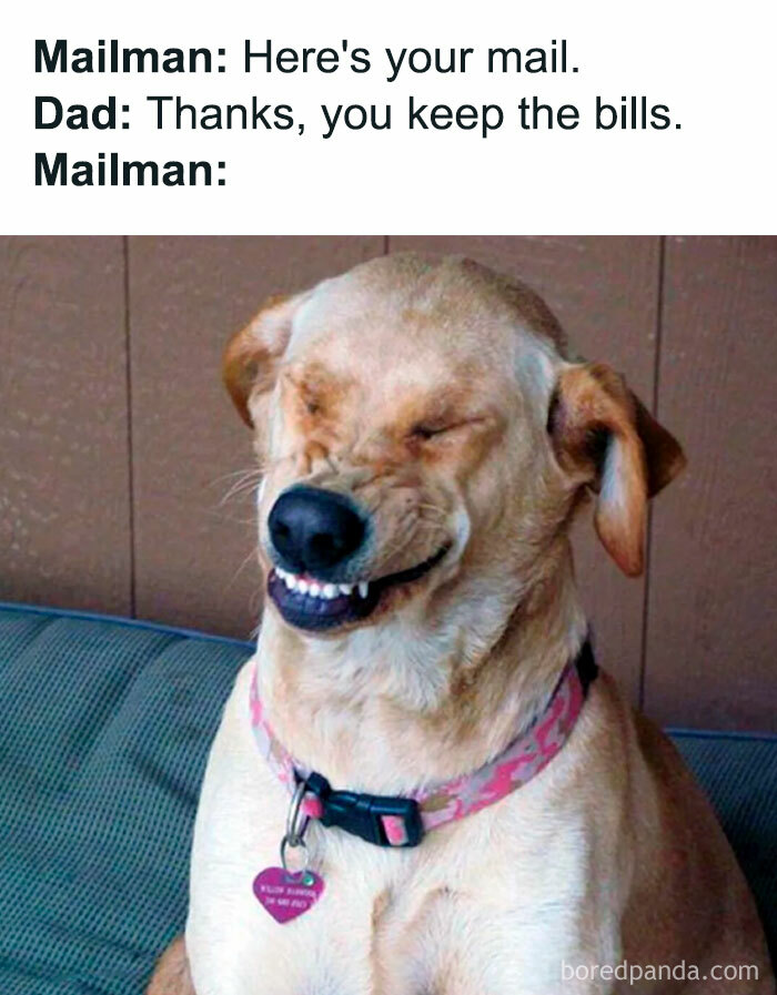 A dad meme showing a dog's awkward smile as a mailman reacts to a dad joke about keeping the bills.