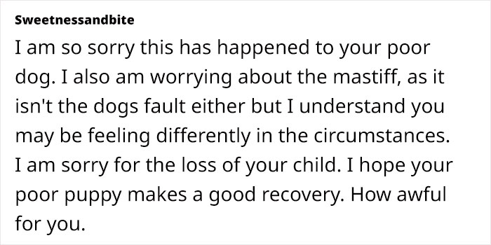 Dog Sitter’s Relaxed Attitude Leads To Pup Losing Eye And Leg, Owner Wants To Take Her To Court Dog Sitter’s Relaxed Attitude Leads To Pup Losing Eye And Leg, Owner Wants To Take Her To Court