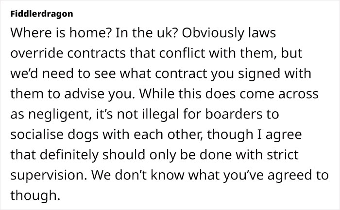 Dog Sitter’s Relaxed Attitude Leads To Pup Losing Eye And Leg, Owner Wants To Take Her To Court Dog Sitter’s Relaxed Attitude Leads To Pup Losing Eye And Leg, Owner Wants To Take Her To Court