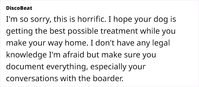 Dog Sitter’s Relaxed Attitude Leads To Pup Losing Eye And Leg, Owner Wants To Take Her To Court Dog Sitter’s Relaxed Attitude Leads To Pup Losing Eye And Leg, Owner Wants To Take Her To Court