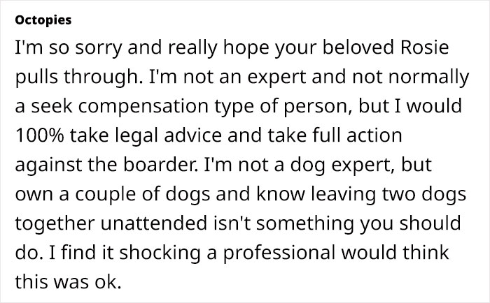Dog Sitter’s Relaxed Attitude Leads To Pup Losing Eye And Leg, Owner Wants To Take Her To Court Dog Sitter’s Relaxed Attitude Leads To Pup Losing Eye And Leg, Owner Wants To Take Her To Court