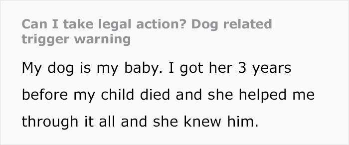 Dog Sitter’s Relaxed Attitude Leads To Pup Losing Eye And Leg, Owner Wants To Take Her To Court Dog Sitter’s Relaxed Attitude Leads To Pup Losing Eye And Leg, Owner Wants To Take Her To Court