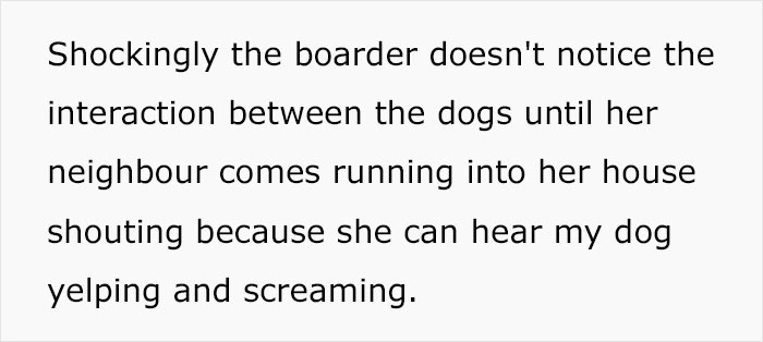 Dog Sitter’s Relaxed Attitude Leads To Pup Losing Eye And Leg, Owner Wants To Take Her To Court Dog Sitter’s Relaxed Attitude Leads To Pup Losing Eye And Leg, Owner Wants To Take Her To Court