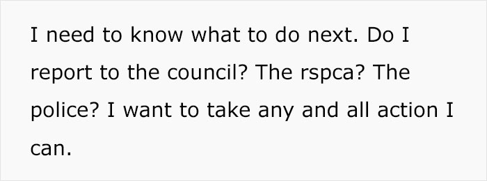 Dog Sitter’s Relaxed Attitude Leads To Pup Losing Eye And Leg, Owner Wants To Take Her To Court Dog Sitter’s Relaxed Attitude Leads To Pup Losing Eye And Leg, Owner Wants To Take Her To Court