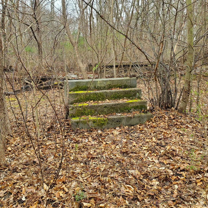 30 People Reveal The Darkest Internet Rabbit Holes They’ve Fallen Into