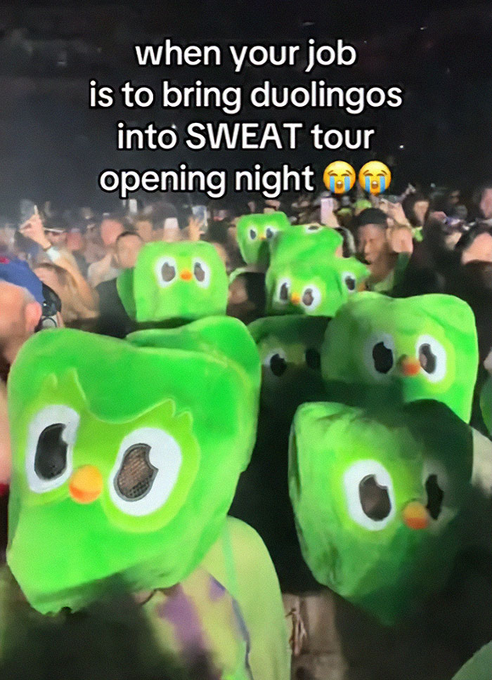 &ldquo;Marketing Team Deserves A Raise&rdquo;: Duolingo Attends Charli XCX And Troye Sivan&rsquo;s Sweat Tour