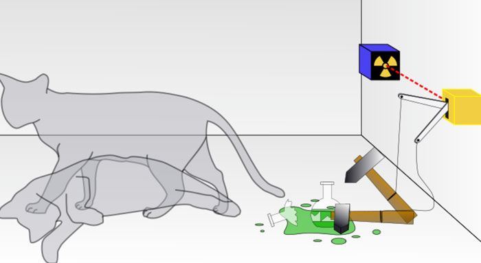 Truth Bombs: 40 Facts That Shocked People Into Questioning Reality