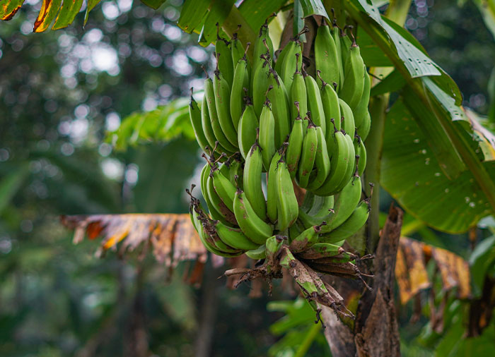 Truth Bombs: 40 Facts That Shocked People Into Questioning Reality