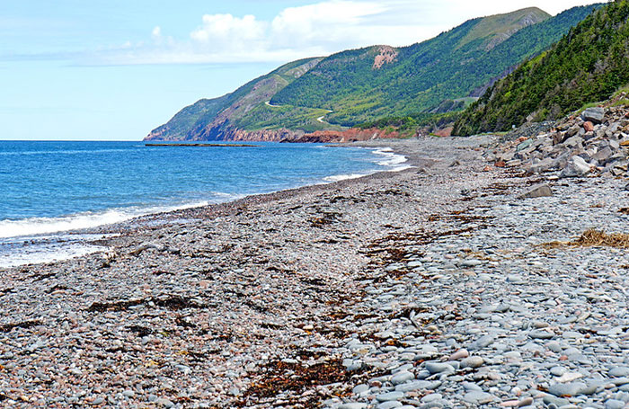 Truth Bombs: 40 Facts That Shocked People Into Questioning Reality