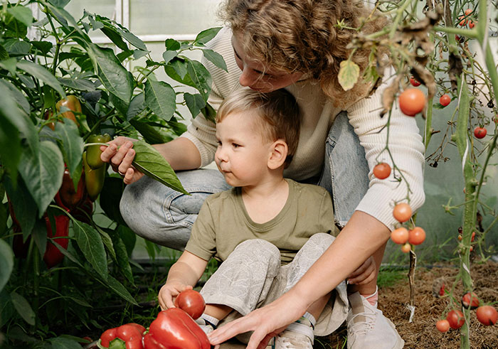 Truth Bombs: 40 Facts That Shocked People Into Questioning Reality