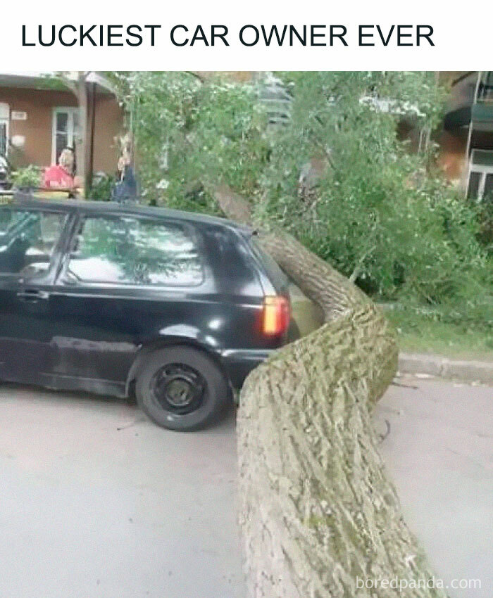 Car-related meme showing a tree narrowly missing a black car, captioned "Luckiest Car Owner Ever."