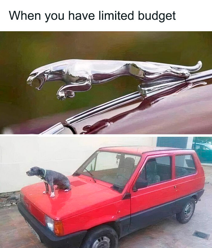 Car-related meme showing a luxury hood ornament versus a dog on a car, captioned "When you have limited budget."